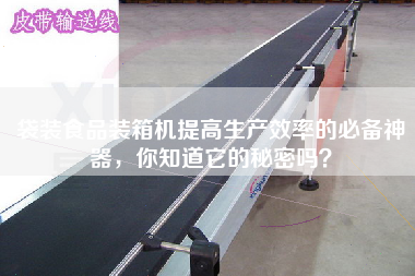 袋裝食品裝箱機(jī)提高生產(chǎn)效率的必備神器，你知道它的秘密嗎？