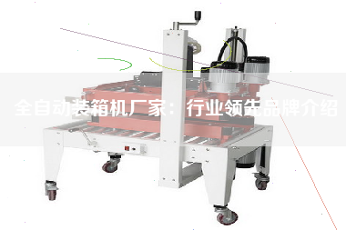 全自動裝箱機(jī)廠家：行業(yè)**品牌介紹