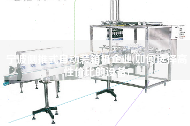 寧波側(cè)推式自動裝箱機企業(yè)(如何選擇高性價比的設(shè)備) 寧波側(cè)推式自動裝箱機企業(yè)(如何選擇高性價比的設(shè)備)